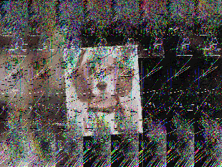 glitchy decoded picture
